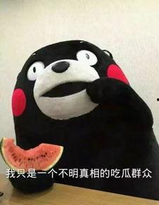 黑料吃瓜网apk普通安装 