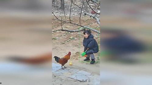 黑料吃瓜网apk普通安装 第2张 黑料吃瓜网apk普通安装 第2张