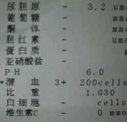 哈密瓜影视 第2张 哈密瓜影视 第2张