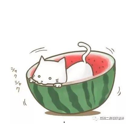 恐怖农场南瓜头 第3张 恐怖农场南瓜头 第3张