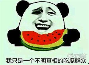 黑料吃瓜网apk普通安装 第3张 黑料吃瓜网apk普通安装 第3张