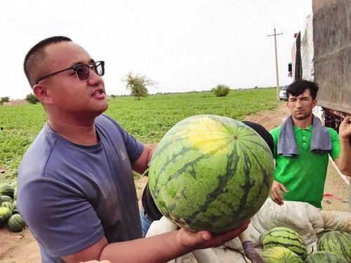 黑料吃瓜网apk普通安装 第2张 黑料吃瓜网apk普通安装 第2张