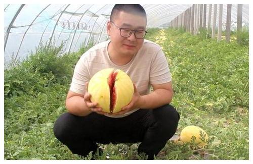 黑料吃瓜网apk普通安装 第2张 黑料吃瓜网apk普通安装 第2张